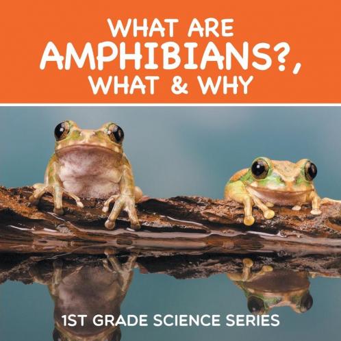 What Are Amphibians? What & Why