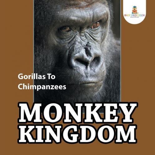 Monkey Kingdom