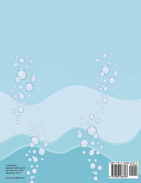 Hiding in Plain Sight! Hidden Pictures Activity Book