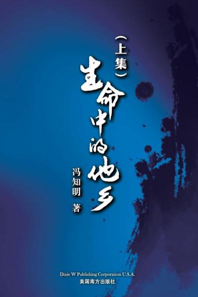 生命中的他乡 (上卷） (Chinese Edition)