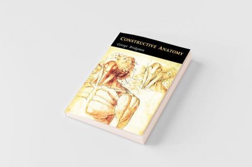 Constructive Anatomy