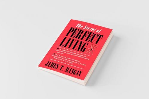The Secret of Perfect Living