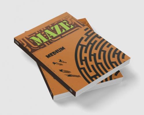 Maze Medium : Medium Level Maze Activity Book Preschool to Kindergarten Kids Maze Book Maze Book for Kids