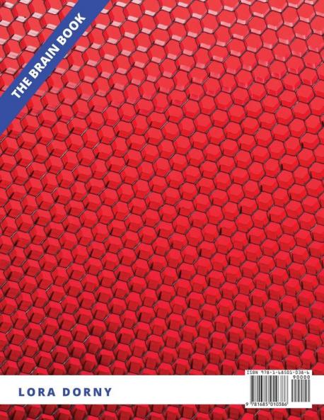 Sudoku Large Print 16x 16