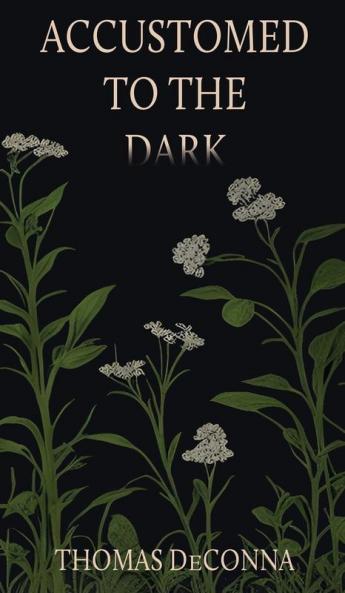 Accustomed to the Dark