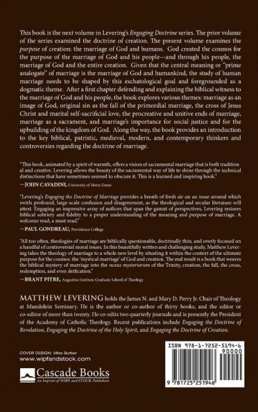 Engaging the Doctrine of Marriage: Human Marriage as the Image and Sacrament of the Marriage of God and Creation (Engaging Doctrine)