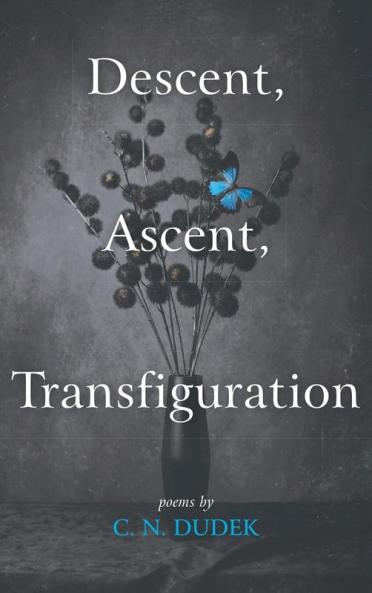 Descent Ascent Transfiguration