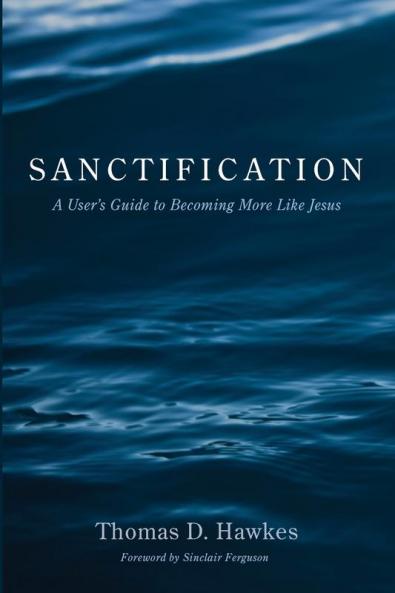 Sanctification: A User's Guide to Becoming More Like Jesus