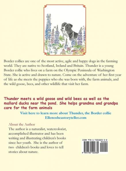The Adventures of Thunder The Wonder Puppy: Book one in the series - The Collies of Chimacum Valley: 1