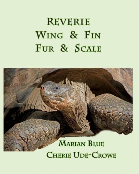 Reverie  Wing & Fin  Fur & Scale