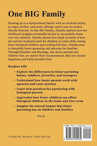 One BIG Family: A Foster Mother's Journey with 200 Children