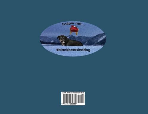 Black Bear Saves Christmas