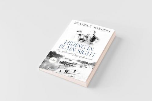 Hiding in Plain Sight