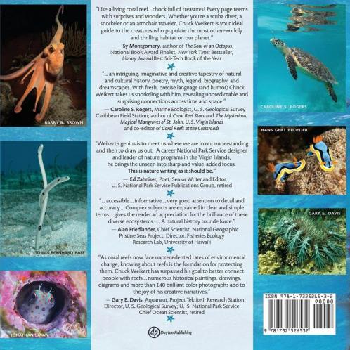 Coral Reef Curiosities