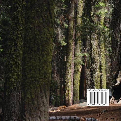 The Tree Guardian: A Tale of the Sequoia Forest: 1 (Road Trip Tales)