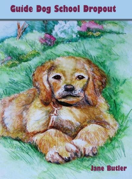 Guide Dog School Dropout