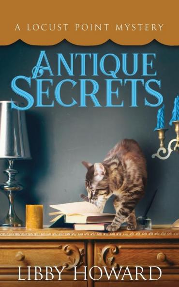 Antique Secrets: 3 (Locust Point Mystery)