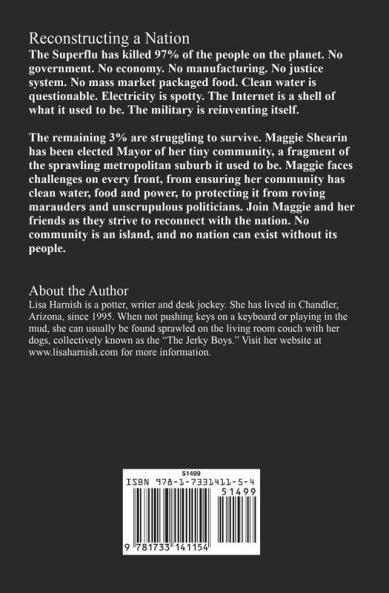Consolidation: Book Three: 3