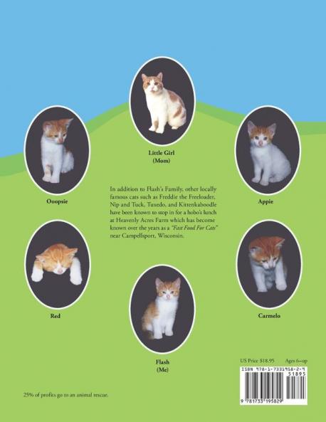 Flash: A lost but found story told by Flash the son of an abandoned cat.