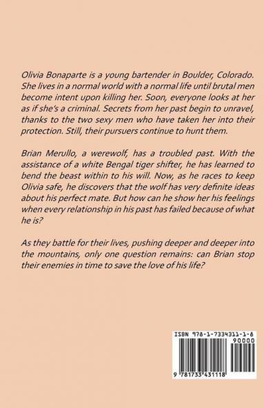 The Last Griffin: 4 (The Griffin Wars)