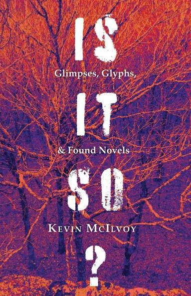 Is It So? Glimpses Glyphs & Found Novels