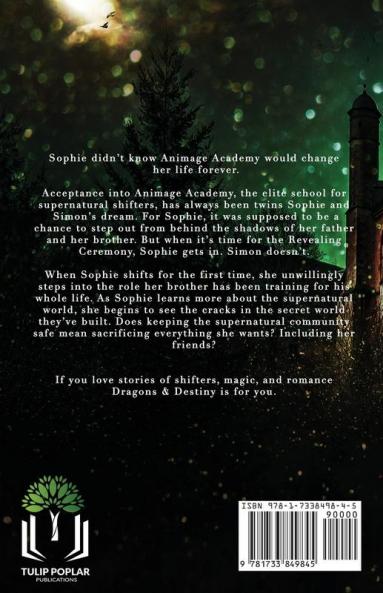Dragons and Destiny: 1 (Animage Academy)