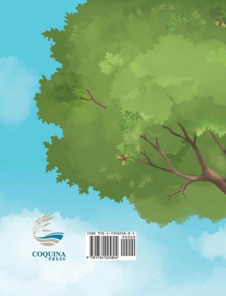 The Climbing Tree