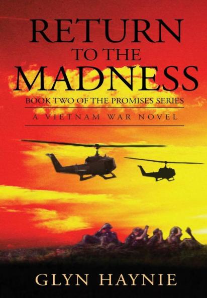 Return To The Madness: A Vietnam War Novel: 2 (Promises to the Fallen)