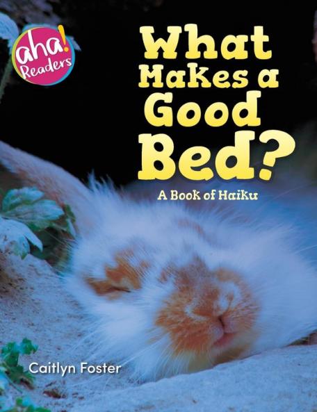 What Makes a Good Bed?