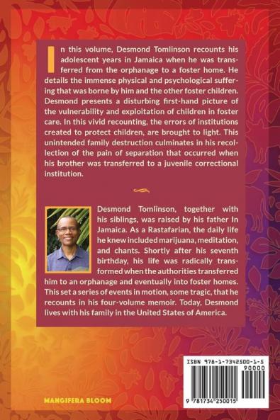 Woka Man: Trapped in a Life of Coercion and Deception: 2 (Fostering Through the Eyes of a Child: Volume)