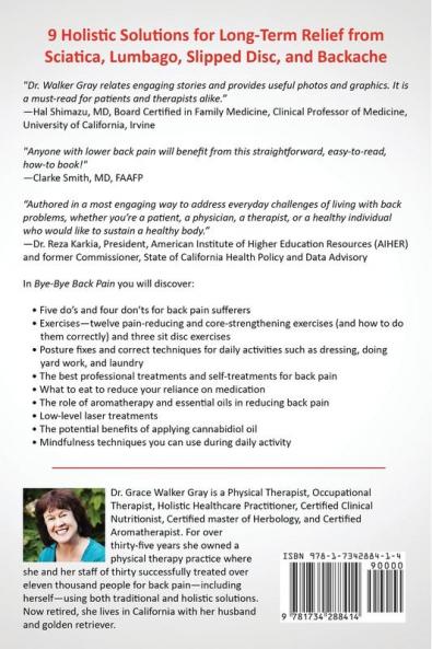 Bye-Bye Back Pain: 9 Holistic Solutions for Relief from Sciatica Lumbago Slipped Disc and Backache