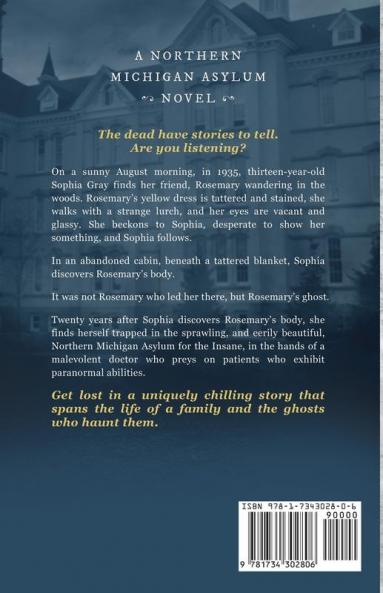 Some Can See: A Northern Michigan Asylum Novel: 1