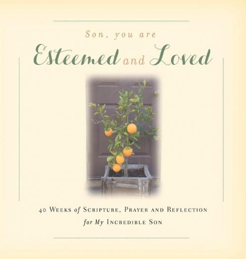 Son You are Esteemed and Loved: 40 Weeks of Scripture Prayer and Reflection for My Incredible Son