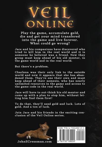 Veil Online - Book 3: An Epic LitRPG Adventure