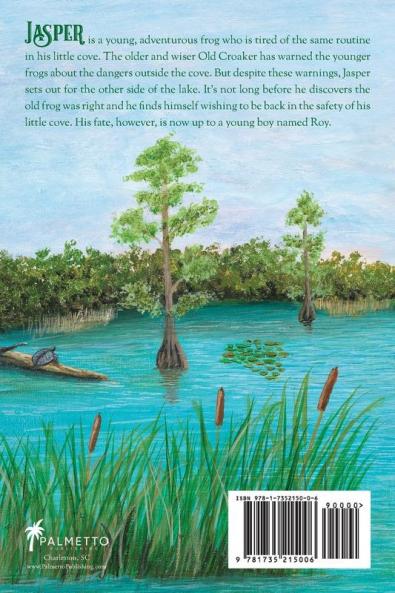 Jasper's Big Adventure: An illustrated chapter book