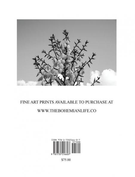 Blossoms of My Desert Home: A collection of photography art & poetry