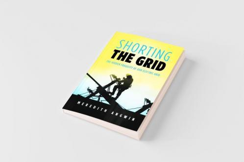 Shorting the Grid