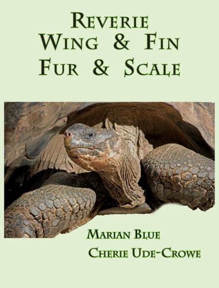 Reverie  Wing & Fin  Fur & Scale