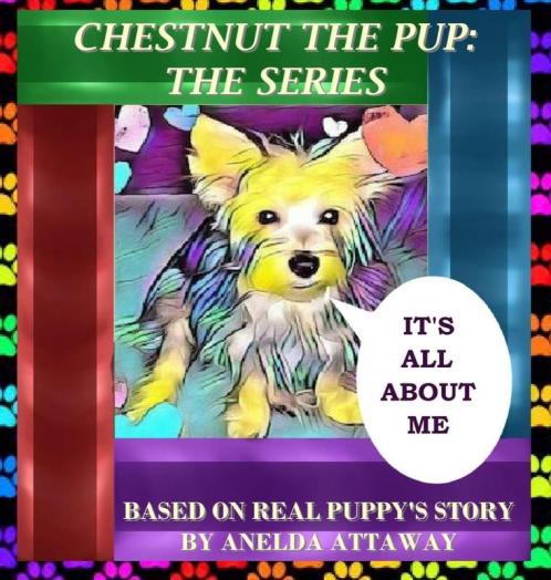 Chestnut the Pup: The Series It's All About Me