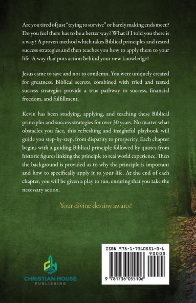 Divine Playbook: The Christian's Path to Success Financial Freedom and Fulfillment