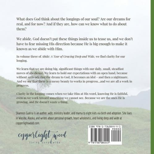 Clarity in the Longing: A Year of Growing Deep and Wide: 3 (Abide)