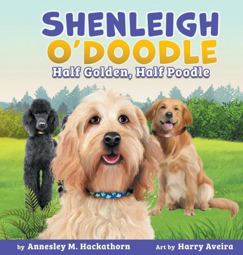 Shenleigh O'Doodle Half Golden Half Poodle