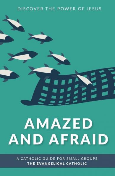 Amazed and Afraid