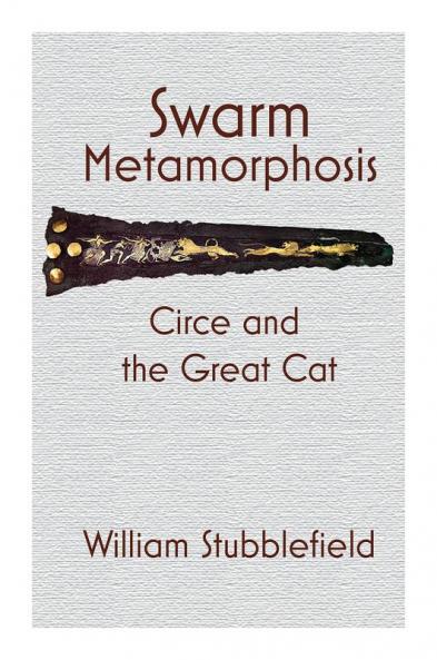Swarm Metamorphosis