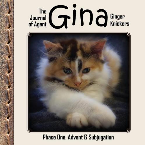 The Journal of Agent Gina Ginger Knickers Phase One