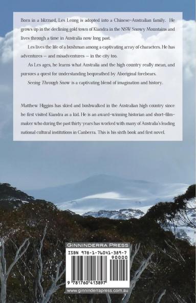 Seeing Through Snow