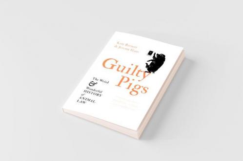 Guilty Pigs