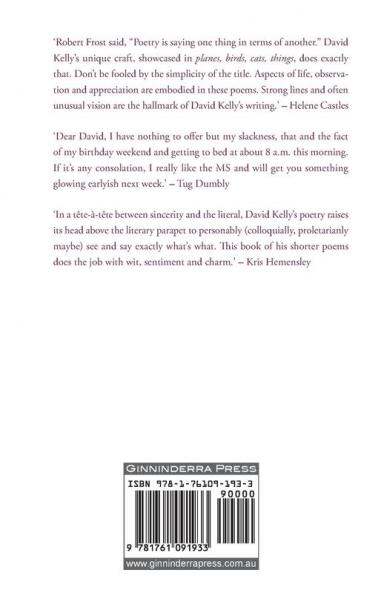 planes birds cats things