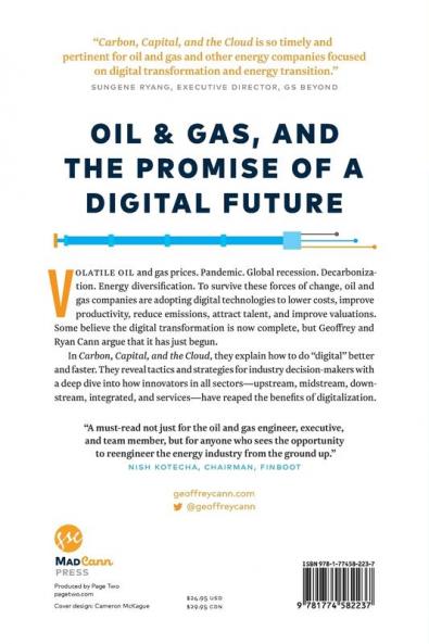 Carbon Capital and the Cloud