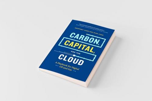 Carbon Capital and the Cloud
